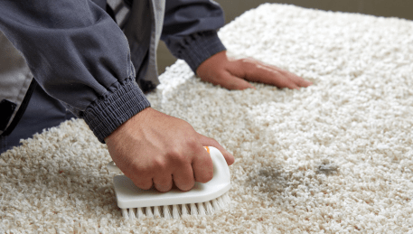 Professional Rug Cleaning Panton Hill